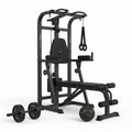 TITAN Core & Ab Home Gym Training System — Crown Edition