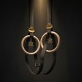 TITAN Pro Wooden Gymnastic Rings Black & Gold