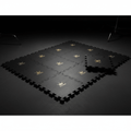 TITAN Rubber Gym Flooring Tiles — Matte black interlocking tiles with gold crown embossed logo