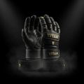 TITAN wrist wrap support lifting gloves