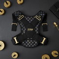 TITAN Posture Corrector Crown Edition
