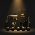 TITAN Pro Pickleball Set 2 Paddles 4 Balls Black & Gold