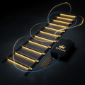 TITAN Pro Agility Speed Ladder Black & Gold