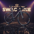 TITAN Crown Edition Triathlon TT Bike SWAG ART