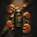 Black bottle of TITAN Phellinus Mushroom with gold text, surrounded by four bracket fungi, bark, and dried leaves.